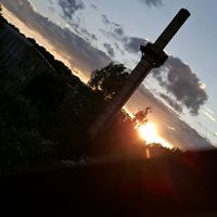 farmig_tiktok