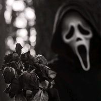 17.dark