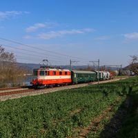 bahnfotos_zentralschweiz