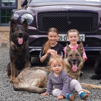 protectionk9scotl