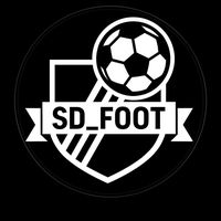 sd_foot4