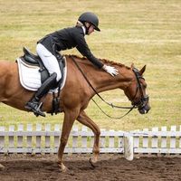 ponyrytter_ellen