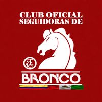 seguidoras.de.bro