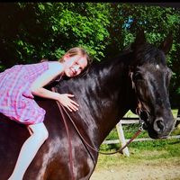 nlb_equestrian