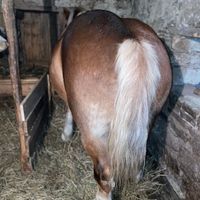 ionutaldea6