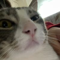 xxainara_xx