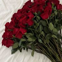 rahaf_i0