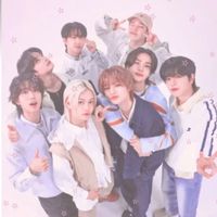 skz.storys
