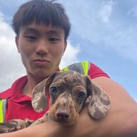 nickchenxi