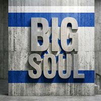 bigsoul008
