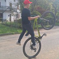 denis.de.pellegri0