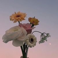 mel_00405