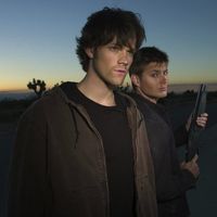 spn.tvv