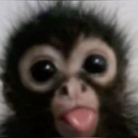 jfhccjms