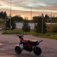 punaisenmoponomistaja