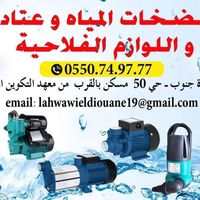 eldiouane
