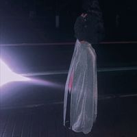 plesuvu.georgiana1