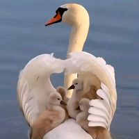 franciscomartinez4112