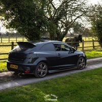 cupra_chemo
