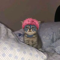 akazalegends