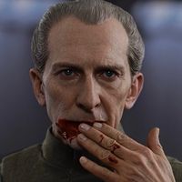wtarkin