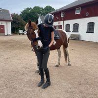 equestrian_emilia2