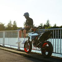 david_lendii