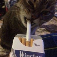 kate.nuster