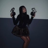 lanenadenogoya