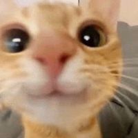 joshyy780
