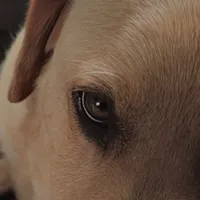 original sound - chelyric