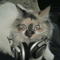 chamycat