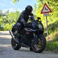 tmedved998