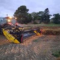 l.agri.81