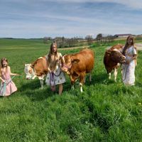 how_to_cow