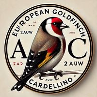 alfredocucinello