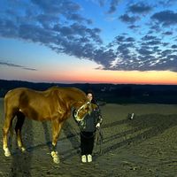zawieskaequestrian