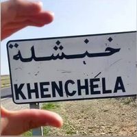 chaouia043