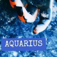 stella_aquario