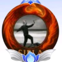 phoenixsoul777