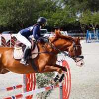 uxia.sporthorses