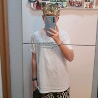 nei_291