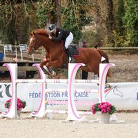 une.histoire.de.trot