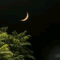 zaheeraesthetic1