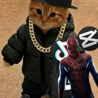 gamernb43