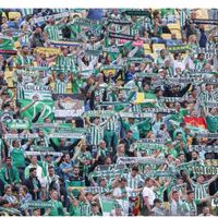 real.betis.vibes