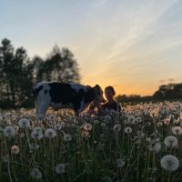 dźwięk oryginalny
