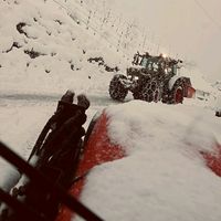 leon_dabaua