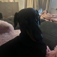 Anything u want