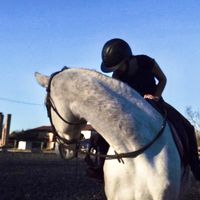 elisa.poneyy